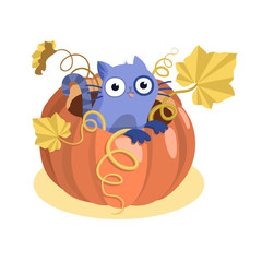 halloween pumpkin with leaves and cat