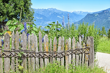 Fototapeta na wymiar Bauerngarten oberhalb Bozen - Südtirol - Italien