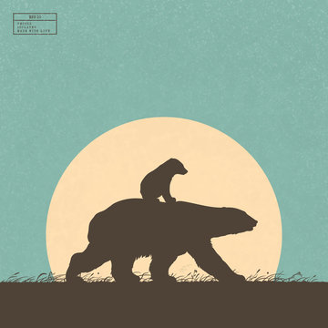 Bear Cub Silhouette Photos Royalty Free Images Graphics Vectors Videos Adobe Stock Bear Cub Silhouette Photos Royalty Free Images Graphics Vectors Videos Adobe Stock