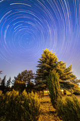 Startrails - northern star.