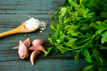 ingredientes para salsa, dientes de ajo, sal de mar, cilantro, salsa picante, comida mexicana