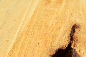 nudo en madera, pieza de madera con nudo, pedazo de madera