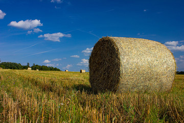 hay bale on the field in Lithuania