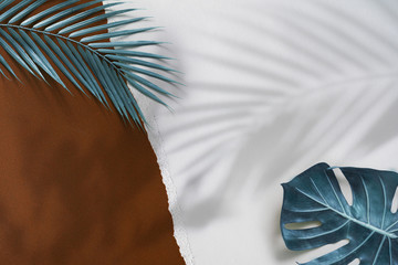 Tropical palm shadow over brown and white torn paper background. Overhead Summer theme - Earth tones flatlay. - 372027926
