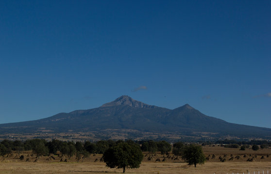 the malinche