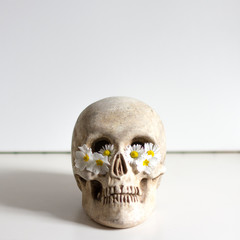 Skull with Flowers