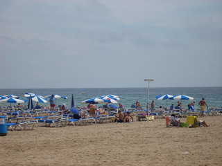 beach with umbrellas