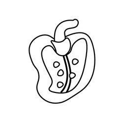 Vector sweet paprika with a black line. Simple food and cooking illustration in doodle style on a white isolated background hand drawn. Design for social networks,web,banners,menus,recipes.