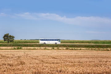 White bus on the road in the countryside . carriage of passengers
