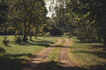 country road in the morning