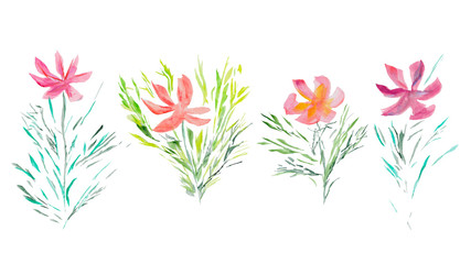 Hand drawn watercolor illustration. Colorful wild flowers. Art element for design.