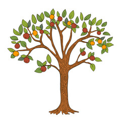 Apple tree. Vector colored art Isolated on white 