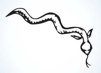 Eel. Vector drawing. Sea fish icon