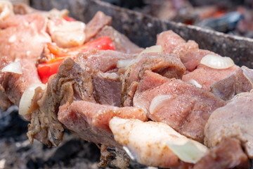 Mtsvadi, grill on the coals with smoke, barbecue