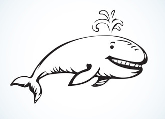 Whale. Vector drawing icon sign