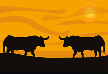 vector illustration of a silhouette of two Bulls on the background of an orange sunset, the picture has a place for text, the symbol of 2021, the collision of the Bulls at sunset