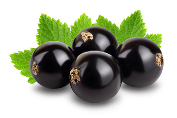 black currant with leaves isolated on white background with clipping path and full depth of field