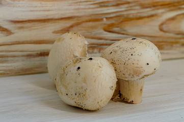 organic natural fresh mushrooms mushrooms close up