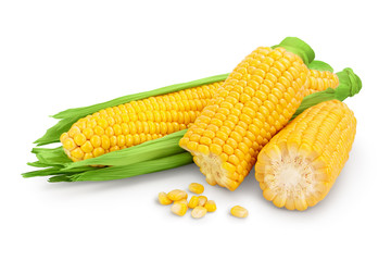 ear of corn isolated on a white background. Clipping path and full depth of field