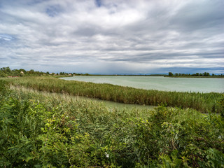Fototapeta na wymiar Lagoon landscape with wild nature and blue sky
