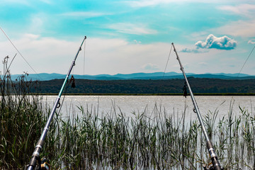 close up reeds, lakes and mountains with two fishing rod.