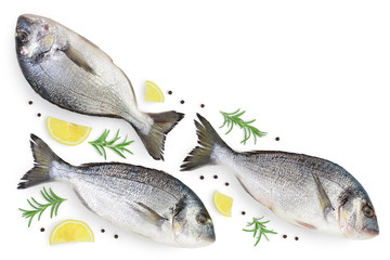 Fish dorado isolated on white background with clipping path and full depth of field. Top view with copy space for your text. Flat lay