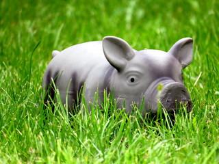 Ein Sparschwein in der Wiese