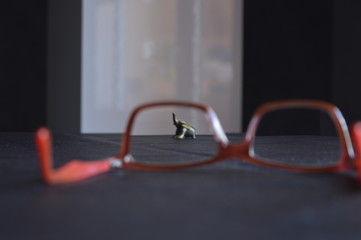 Observando
