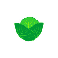 vegetable icon vector symbol isolated illustration white background