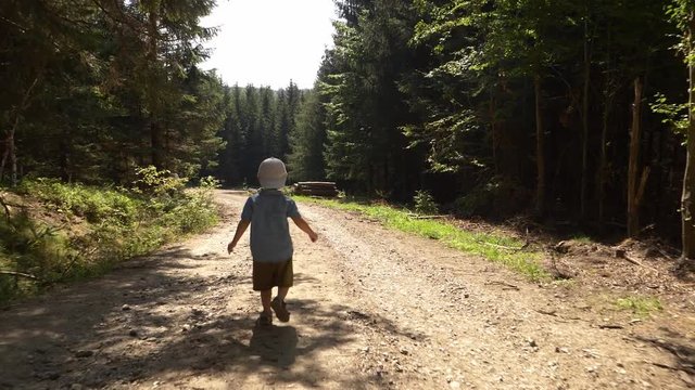 child walks along a path in the forest
