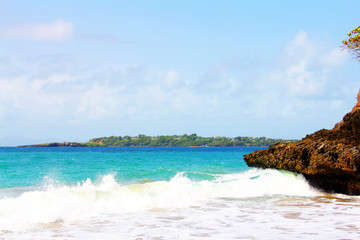 tropical beach with palm trees