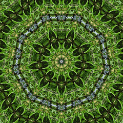 Abstract kaleidoscope background. Beautiful multicolor kaleidoscope texture. Unique kaleidoscope design.