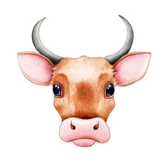 Cute cartoon bull (cow) watercolor illustration. Hand drawn funny zodiac symbol of 2021new year. Cartoon bull or ox portrait element. Happy farm animal new year mascot isolated on white background