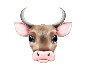 Cute cartoon bull (cow) watercolor illustration. Hand drawn zodiac symbol of 2021new year. Cartoon ox or bull with snowflake on the forehead. Funny new year mascot isolated on white background