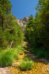Fototapeta na wymiar NATURAL LANDSCAPE WITH THE RIVER COMING DOWN FROM THE MOUNTAIN IN MATARRAÃ‘A, TERUEL, SPAIN