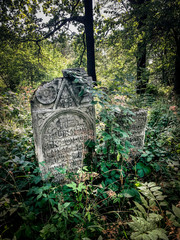 Jeden z najstarszych w Polsce cmentarz żydowski w Szczebrzeszynie
