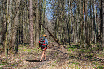 Obraz premium A girl with a backpack in a stylish hat walks through the spring forest. Ukraine