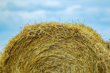 Round bale of straw on a background of the sky. Background.
