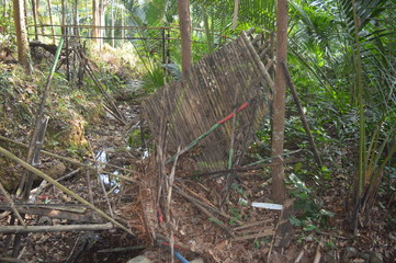 broken bamboo bridge. The bridge made by bamboo.