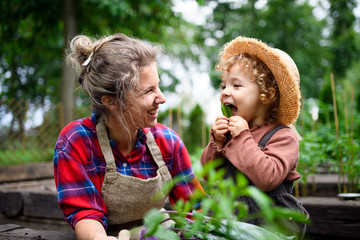 Mother with small daughter gardening on farm, growing organic vegetables.