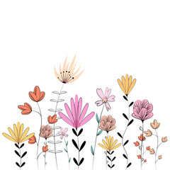 Drawing of a variety of wildflowers. Flower vector