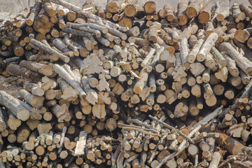 Stack of log cabins, logs in an open warehouse