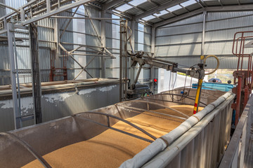 Grain sampling process. View of a station for automatic sampling of grain from a road transport...