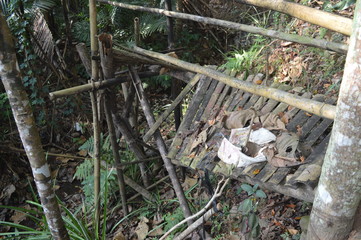 broken bamboo bridge. The bridge made by bamboo.