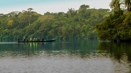 Fototapeta na wymiar Fotografía tomada en el lago sandoval - Reserva Nacional de Tambopata - Madre de Dios - Perú. 