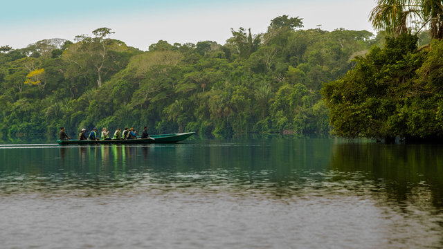 Fotografía tomada en el lago sandoval - Reserva Nacional de Tambopata - Madre de Dios - Perú. 