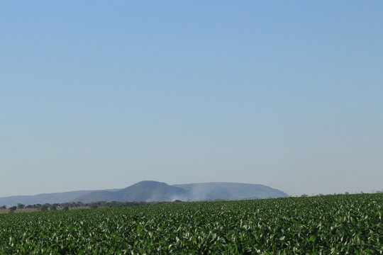 Queimadas na serra 