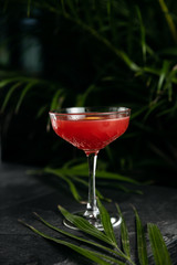 Cocktail drink on a old stone board. Alcoholic beverage with tropical fruits red pepper herb and ice. cocktail in glass on black background. Copyspace. Close up of glass of cocktail 