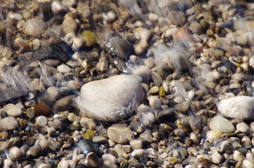 sea pebbles on the beach
