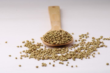 dried coriander seeds in the wooden spoon, isolated on white.